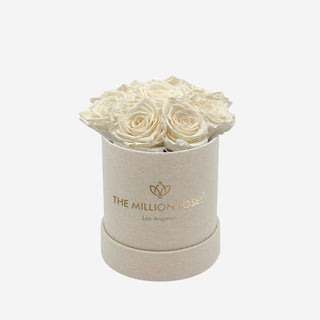 Basic Beige Suede Box | White Roses - Hidden Candles