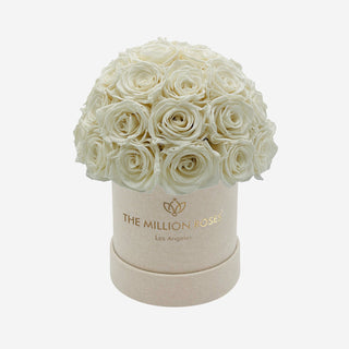 Basic Beige Suede Superdome Box | White Roses - Hidden Candles