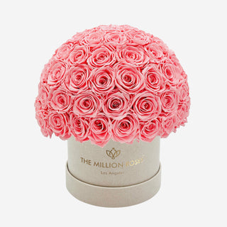 Classic Beige Suede Superdome Box | Light Pink Roses - Hidden Candles