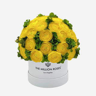 Classic White Box | Yellow Persian Buttercups & Green Hydrangeas - Hidden Candles